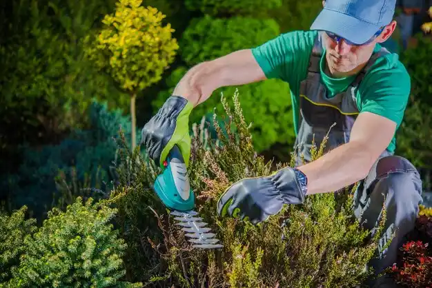 landscaping services Ravenna